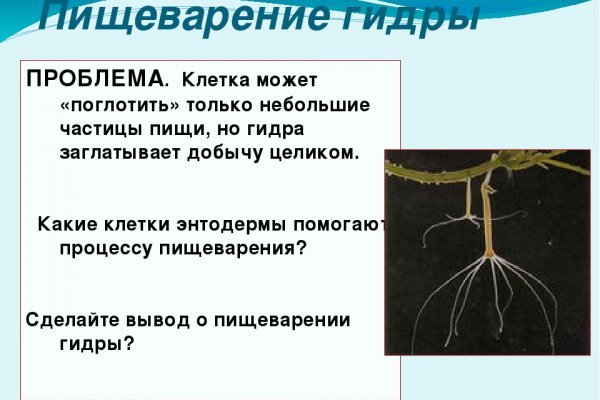 Аутентификатор кракен