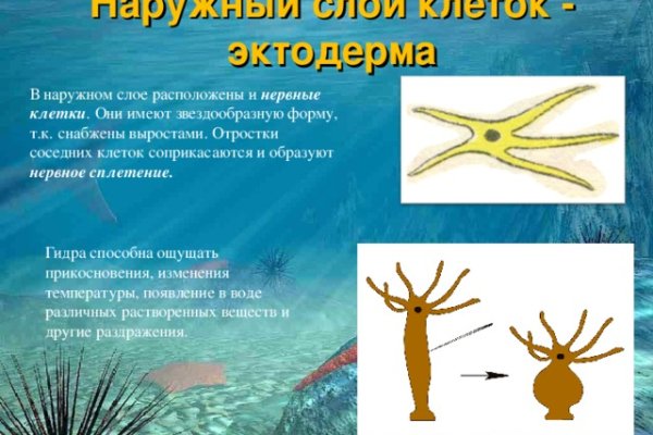 Как зайти на кракен с айфона